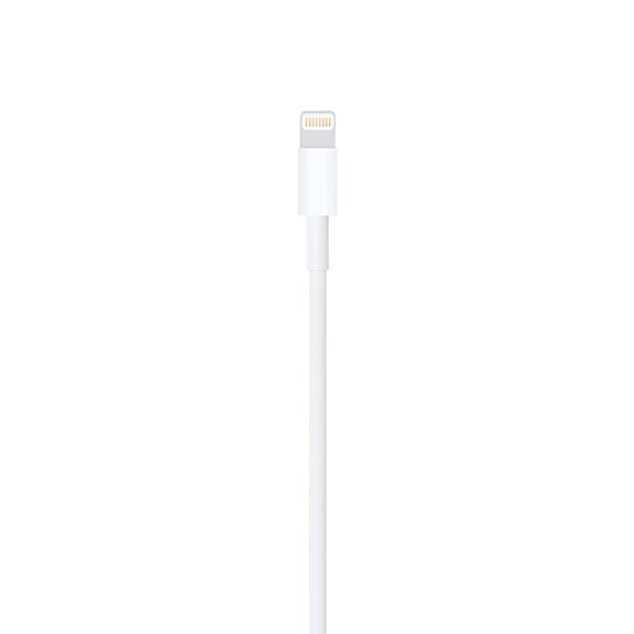 Apple Lightning to USB Cable - 2m - official view 3