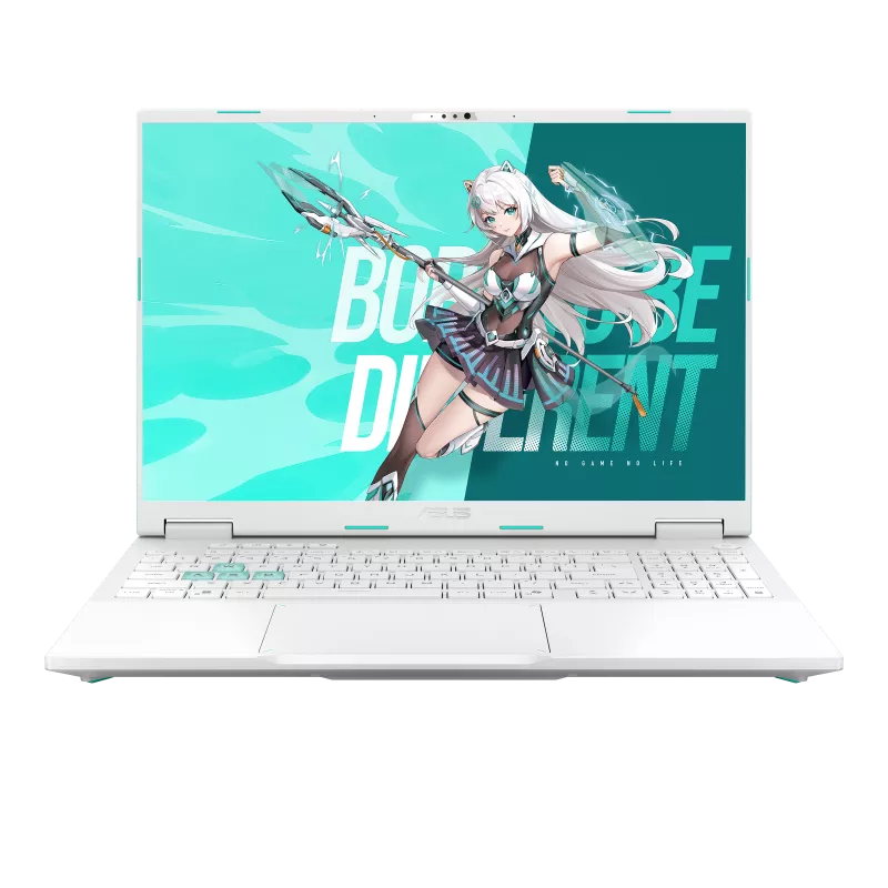 Asus Tianxuan 6 Pro (TUF Gaming A16) FA608PM | 16-inch WUXGA 165Hz