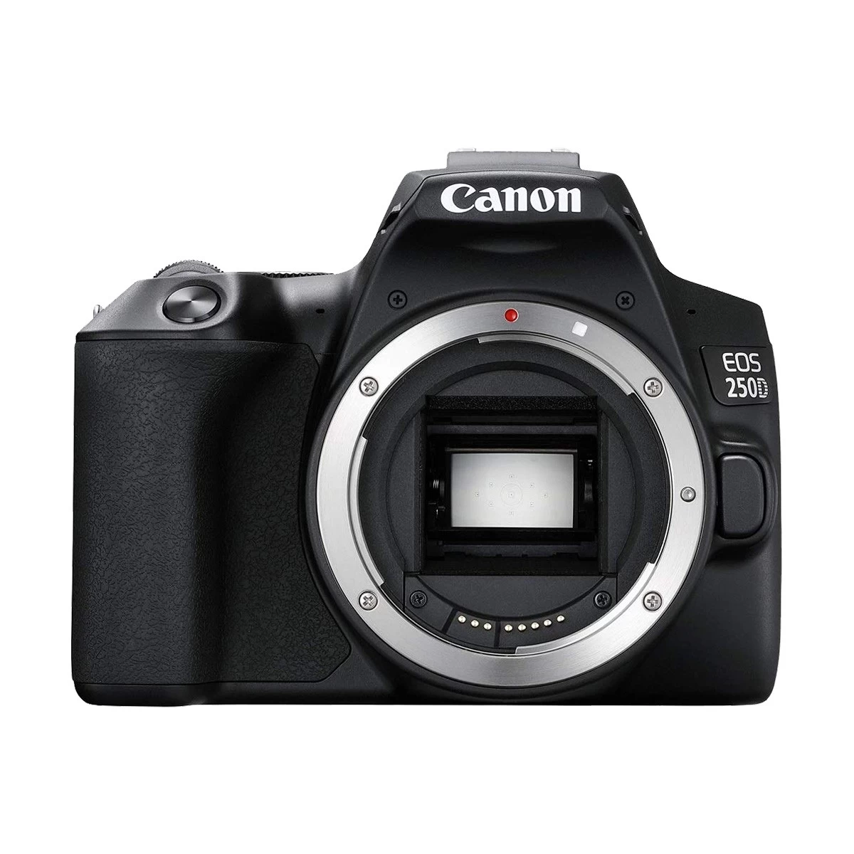 Canon EOS 250D Digital SLR Camera () (No Warranty)