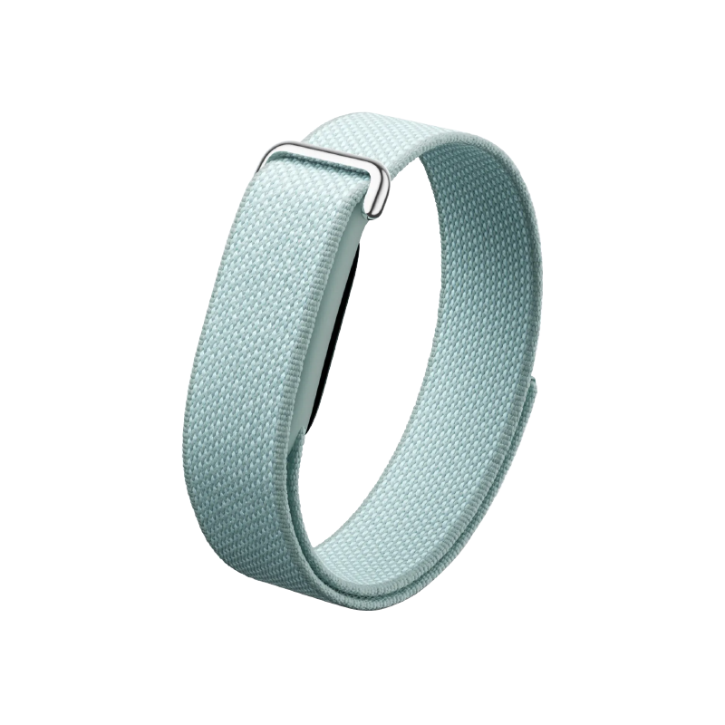 Google Fitbit Air - official view 3