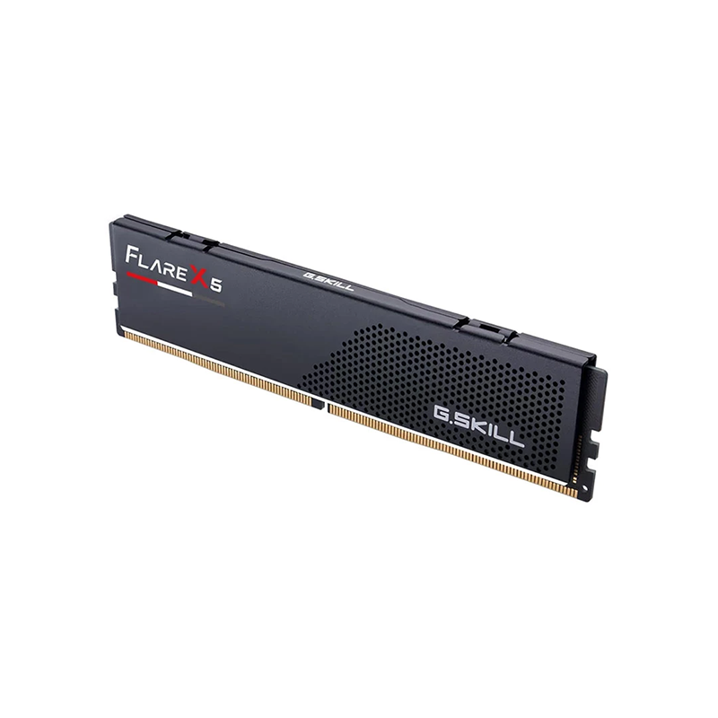 G.Skill Flare X5 8GB DDR5 6000MHz Heatsink Desktop RAM - official view 2