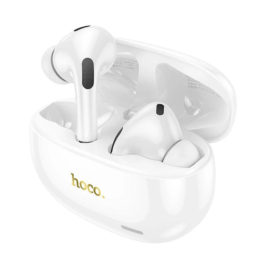 Hoco EW60 Plus ANC TWS Bluetooth Earbuds (3 Month)