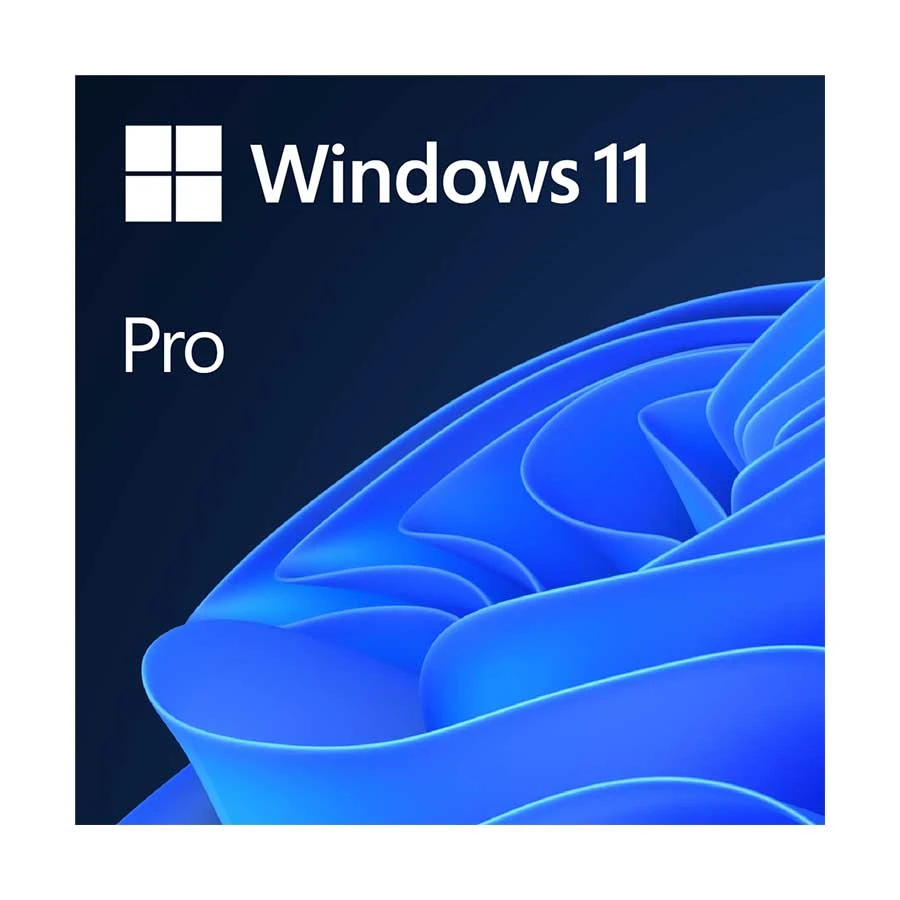 Microsoft Windows 11 Professional 64 Bit ENG Intl 1PK DSP OEI DVD (PC OS) #FQC-10528
