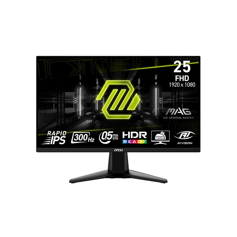 MSI MAG 255XF 24.5-inch 300Hz FHD IPS Gaming Monitor