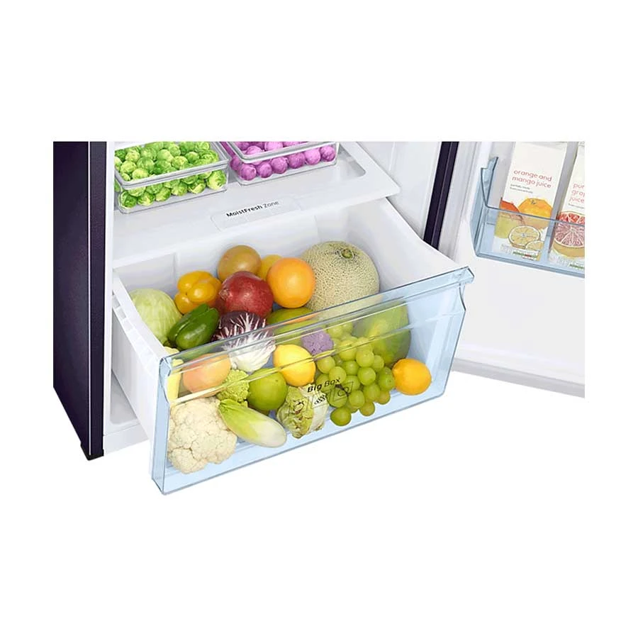 Samsung RT37K5532UT/D3 345L Twin Cooling TMF Pebble Refrigerator product view