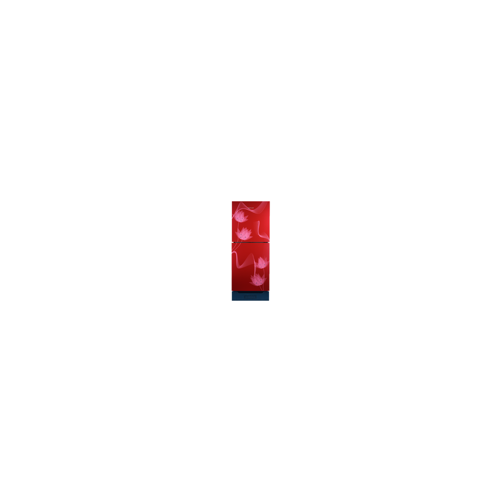 Singer Top Mount Refrigerator (FTDS230)