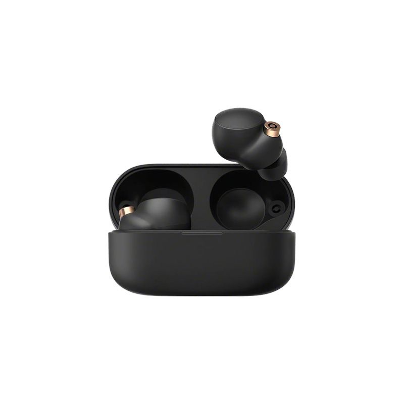 Sony WF-1000XM4 Wireless Noise Cancelling Headphones - official view 2