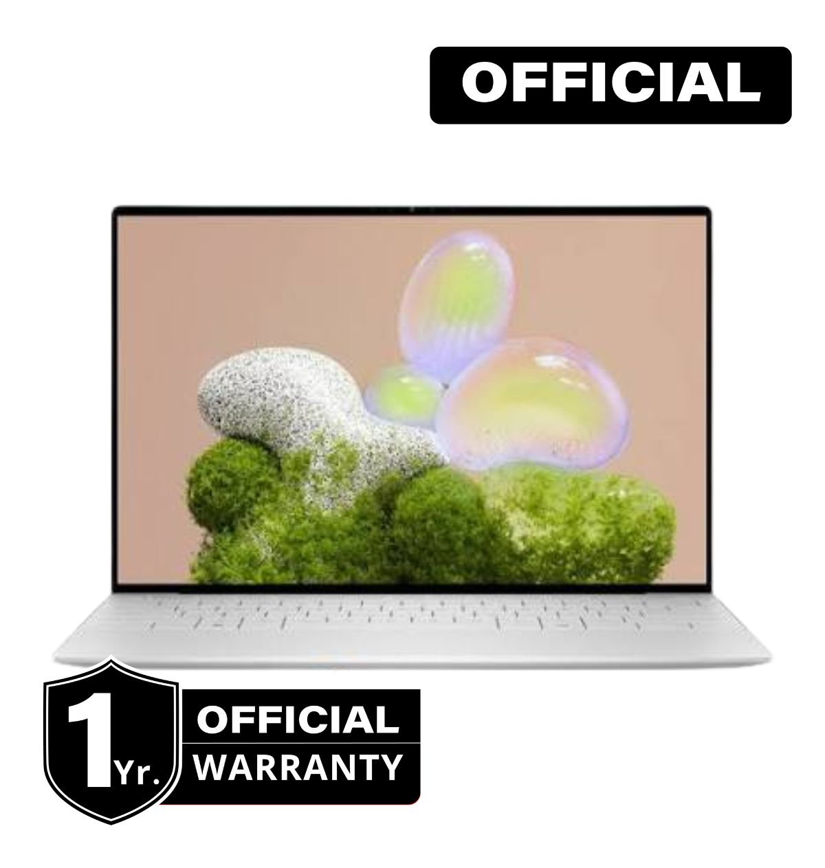 Dell XPS 13